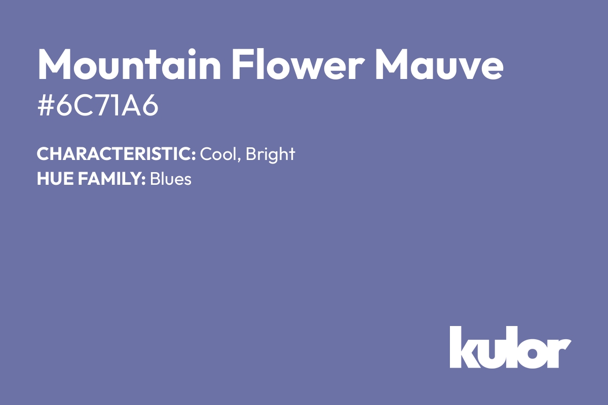 Mountain Flower Mauve is a color with a HTML hex code of #6c71a6.