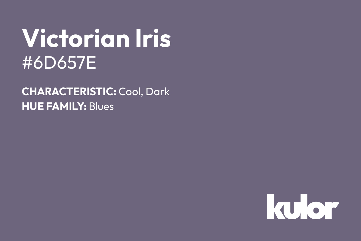 Victorian Iris is a color with a HTML hex code of #6d657e.