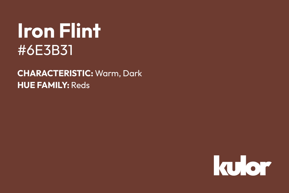 Iron Flint is a color with a HTML hex code of #6e3b31.