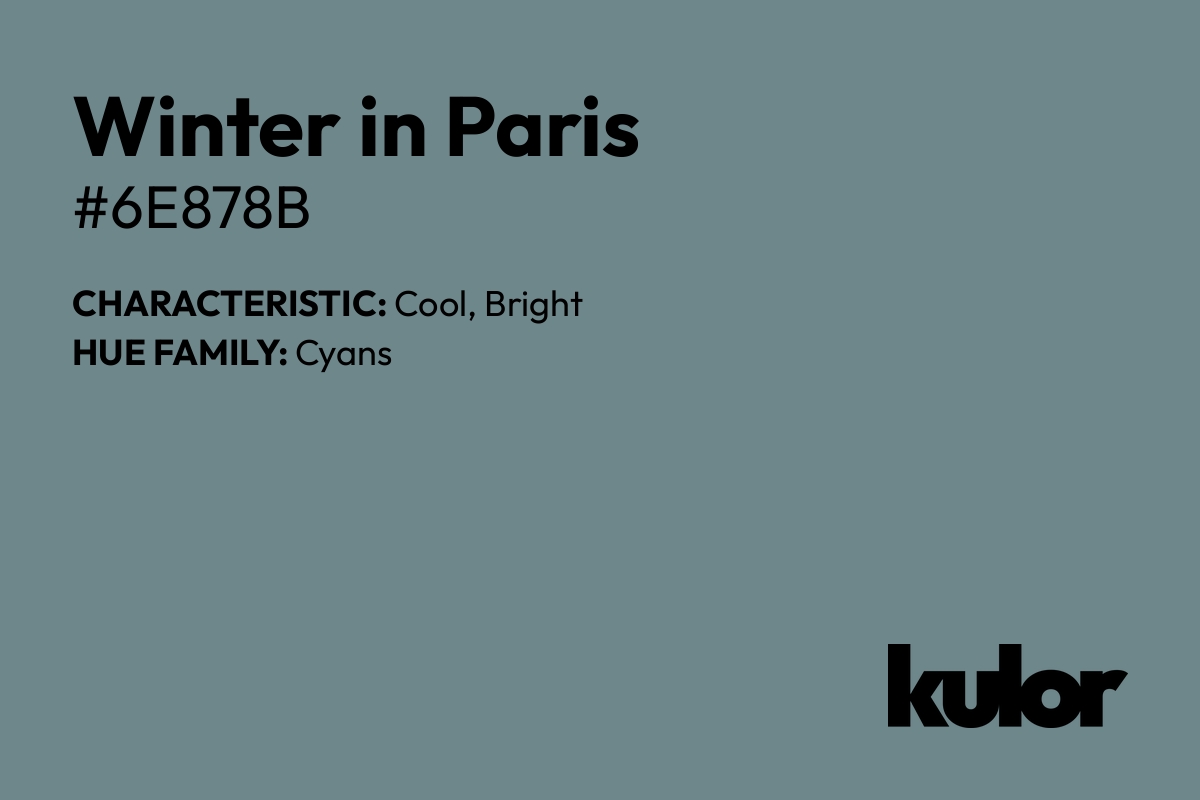 Winter in Paris is a color with a HTML hex code of #6e878b.