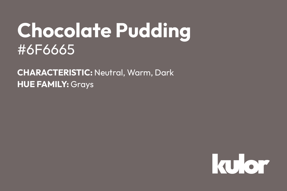 Chocolate Pudding is a color with a HTML hex code of #6f6665.