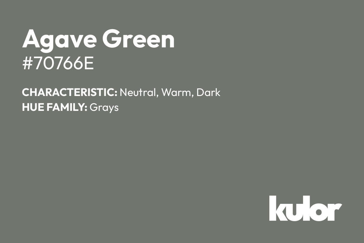 Agave Green is a color with a HTML hex code of #70766e.