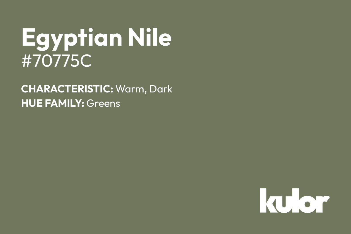 Egyptian Nile is a color with a HTML hex code of #70775c.