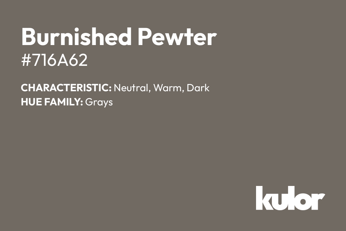 Burnished Pewter is a color with a HTML hex code of #716a62.