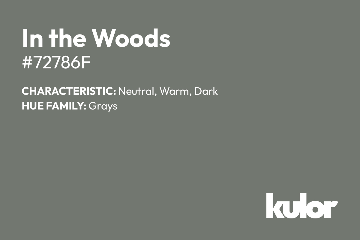 In the Woods is a color with a HTML hex code of #72786f.