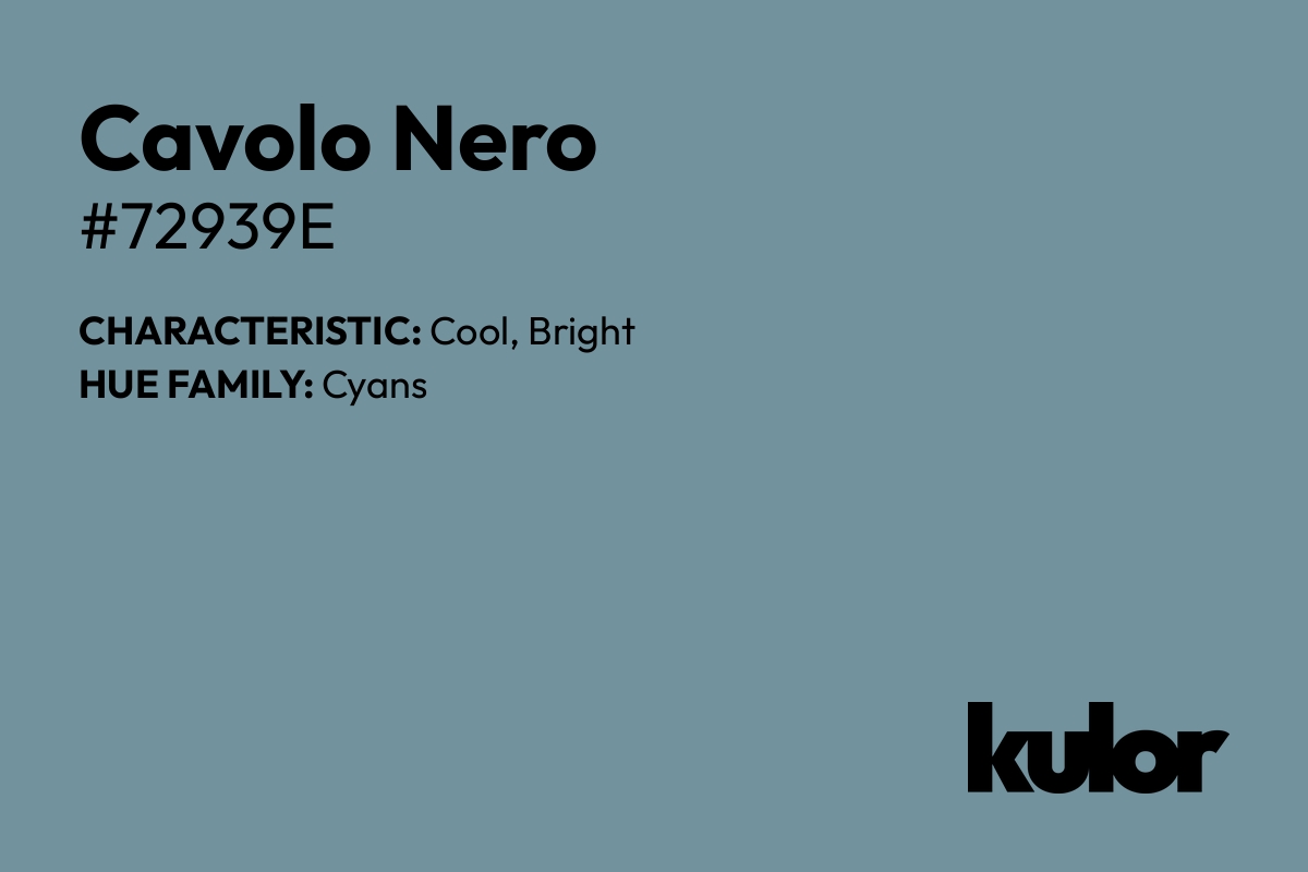 Cavolo Nero is a color with a HTML hex code of #72939e.