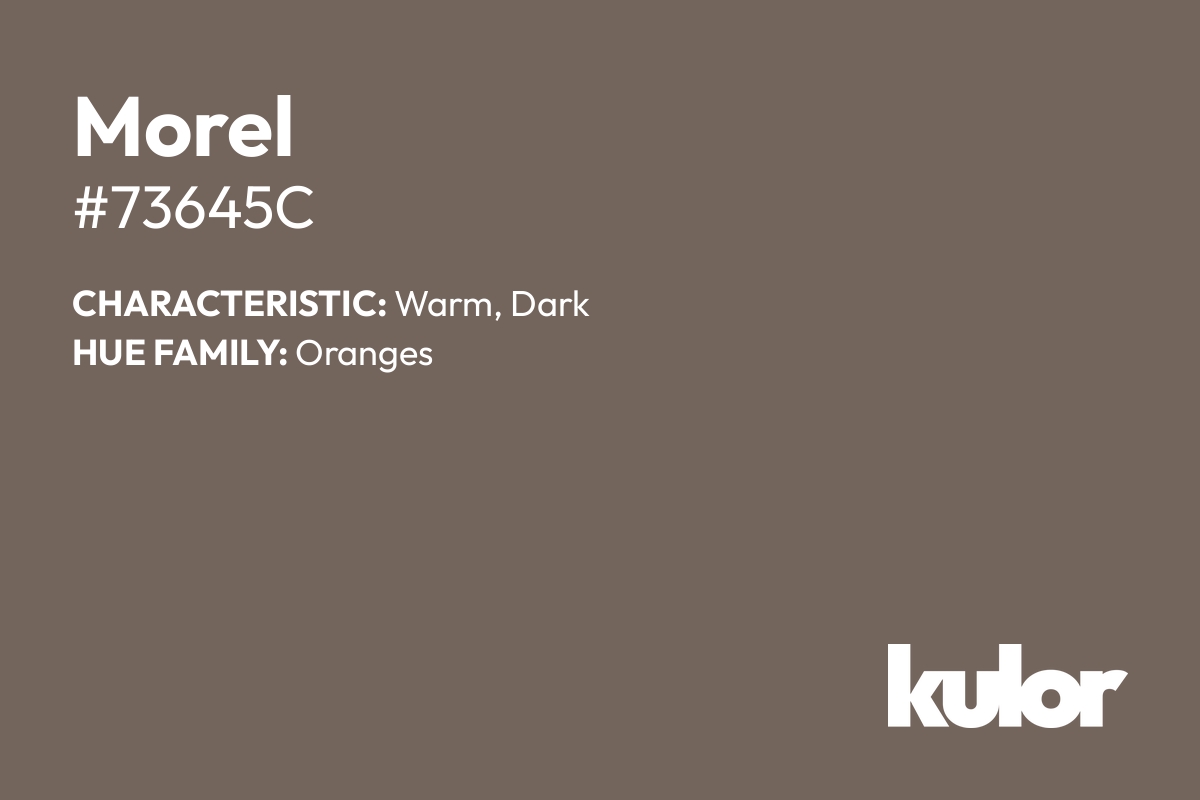 Morel is a color with a HTML hex code of #73645c.