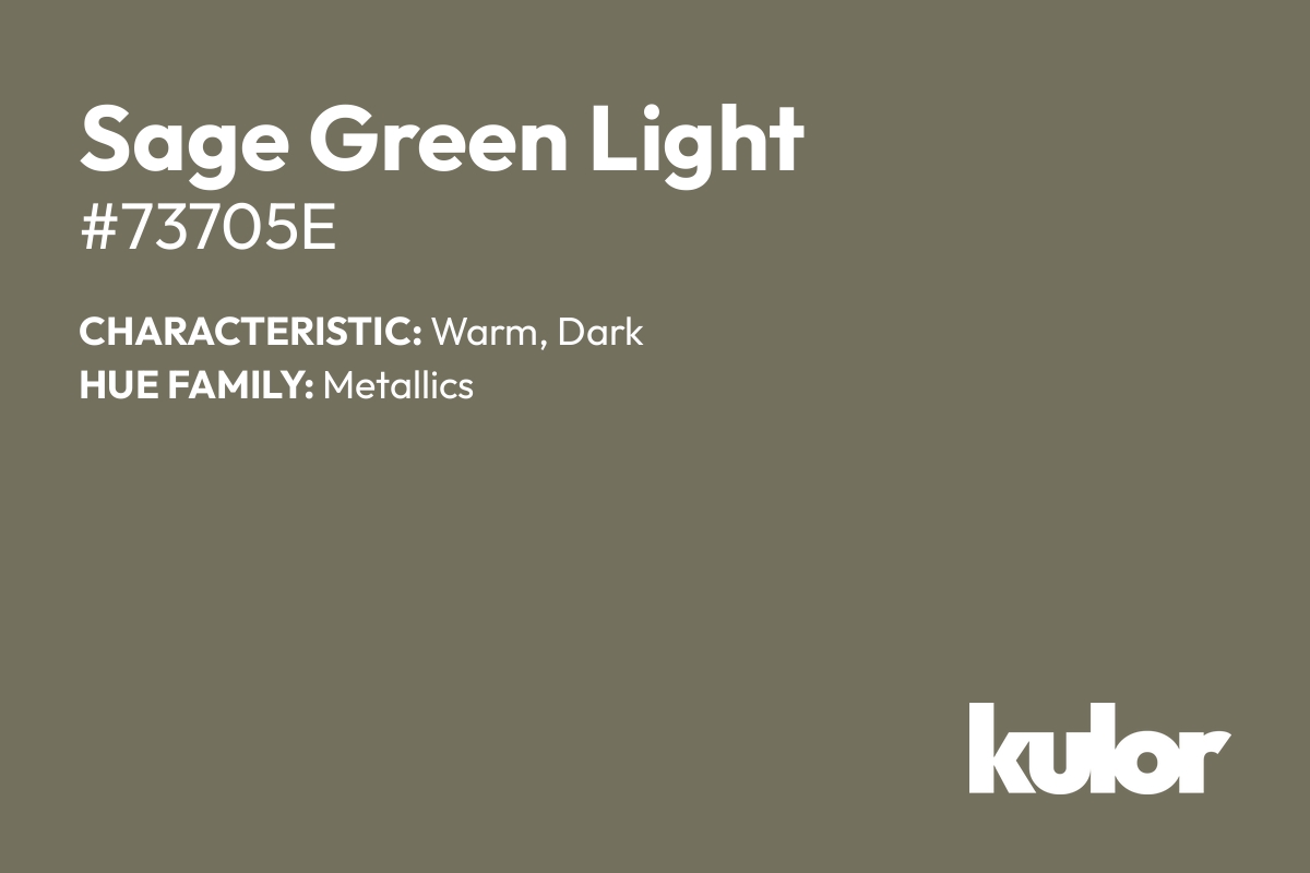 Sage Green Light is a color with a HTML hex code of #73705e.