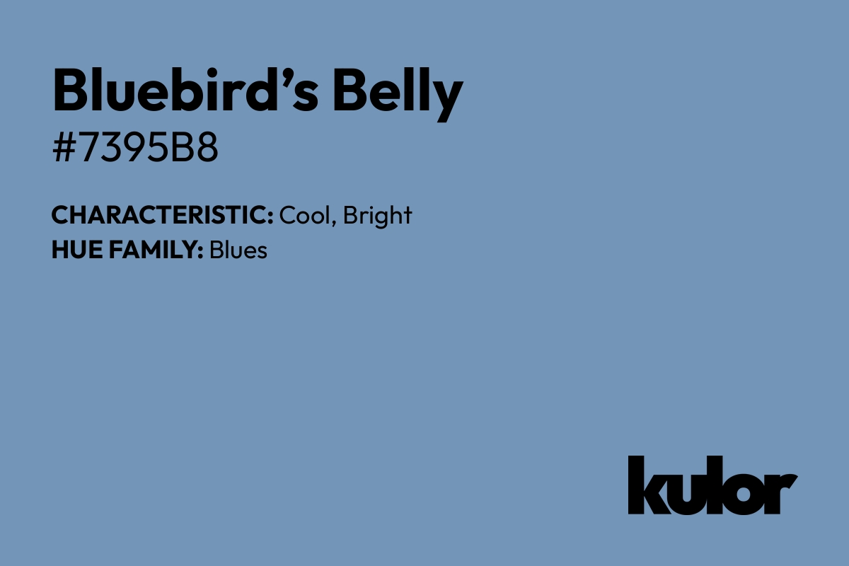 Bluebird’s Belly is a color with a HTML hex code of #7395b8.