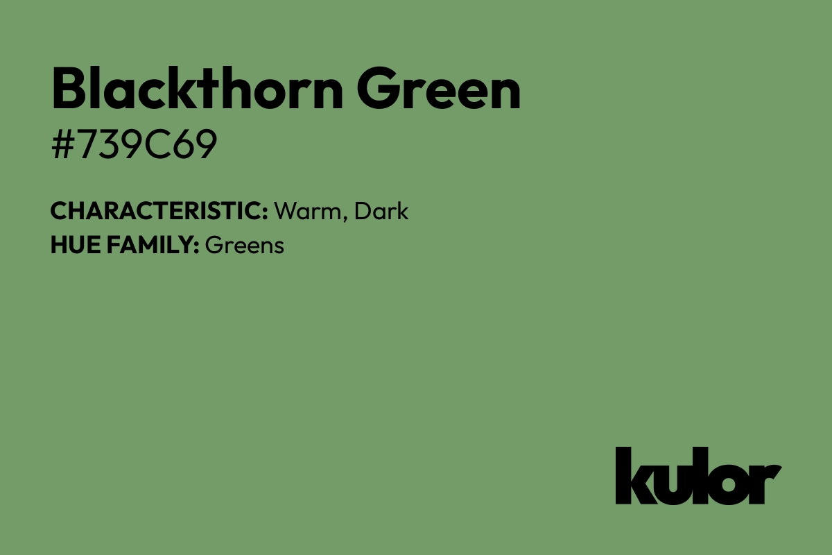 Blackthorn Green is a color with a HTML hex code of #739c69.