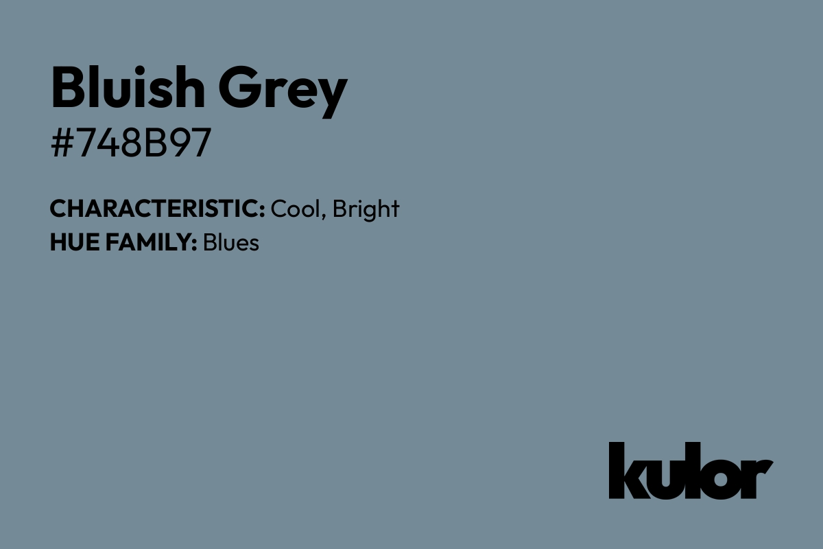 Bluish Grey is a color with a HTML hex code of #748b97.