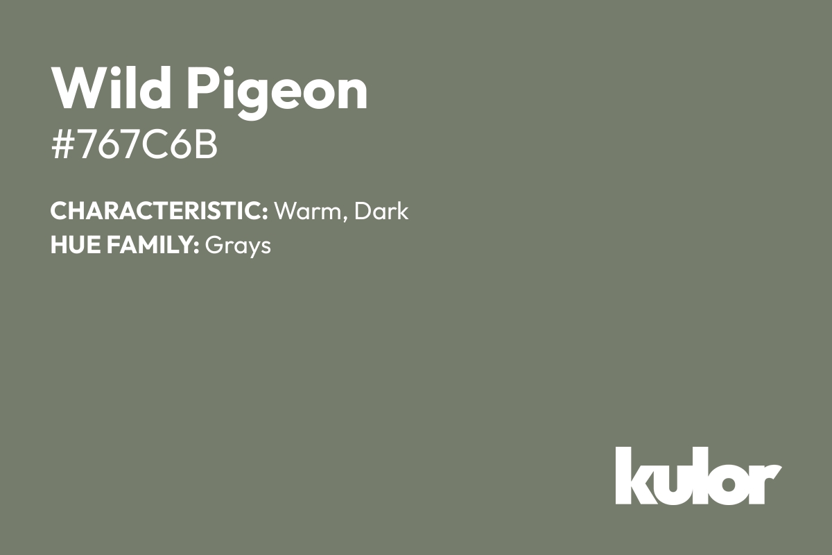 Wild Pigeon is a color with a HTML hex code of #767c6b.