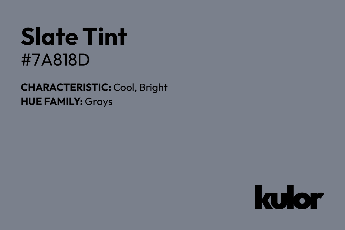 Slate Tint is a color with a HTML hex code of #7a818d.