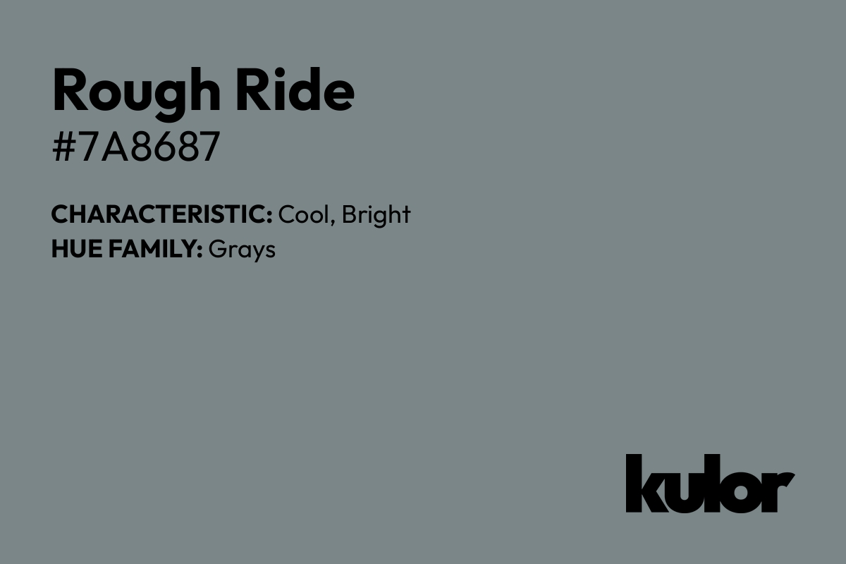 Rough Ride is a color with a HTML hex code of #7a8687.