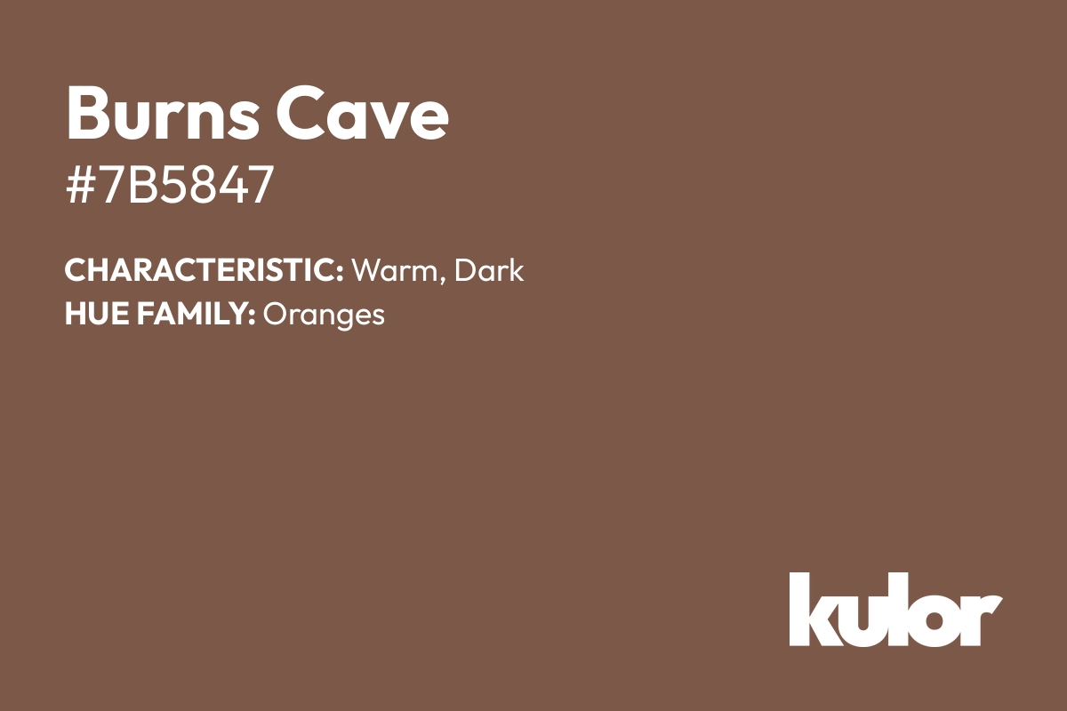 Burns Cave is a color with a HTML hex code of #7b5847.