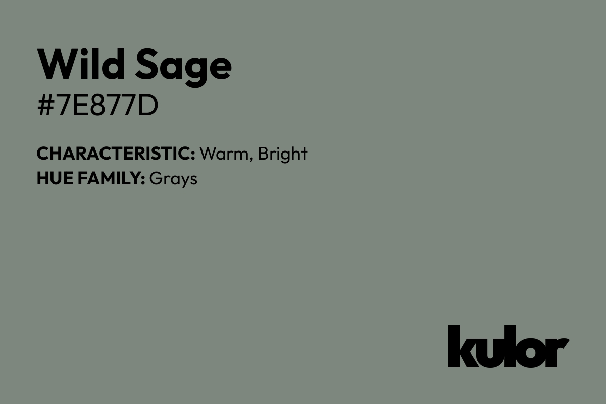 Wild Sage is a color with a HTML hex code of #7e877d.