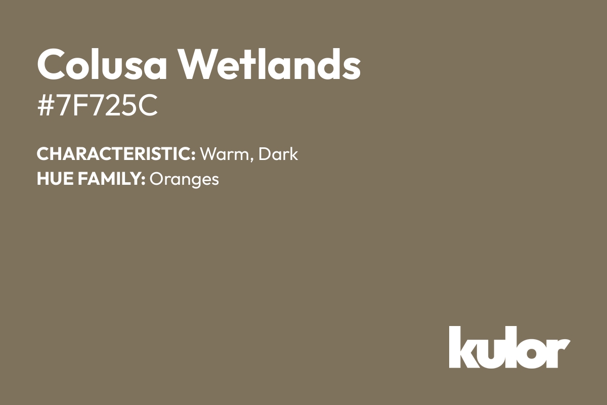 Colusa Wetlands is a color with a HTML hex code of #7f725c.