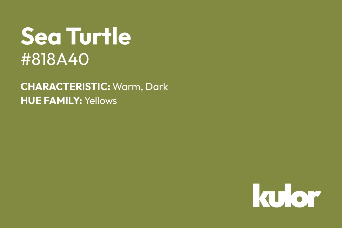 Sea Turtle is a color with a HTML hex code of #818a40.