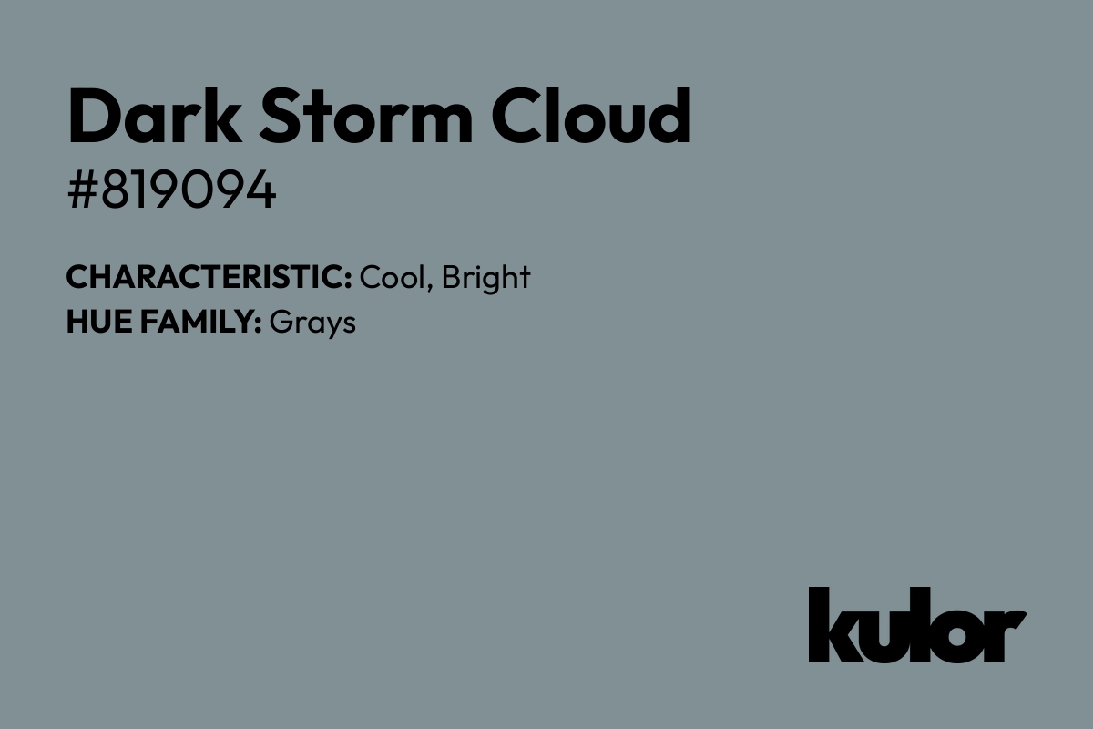 Dark Storm Cloud is a color with a HTML hex code of #819094.