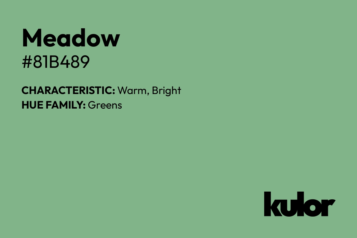 Meadow is a color with a HTML hex code of #81b489.