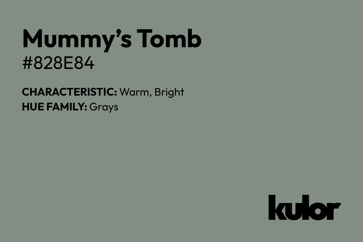 Mummy’s Tomb is a color with a HTML hex code of #828e84.