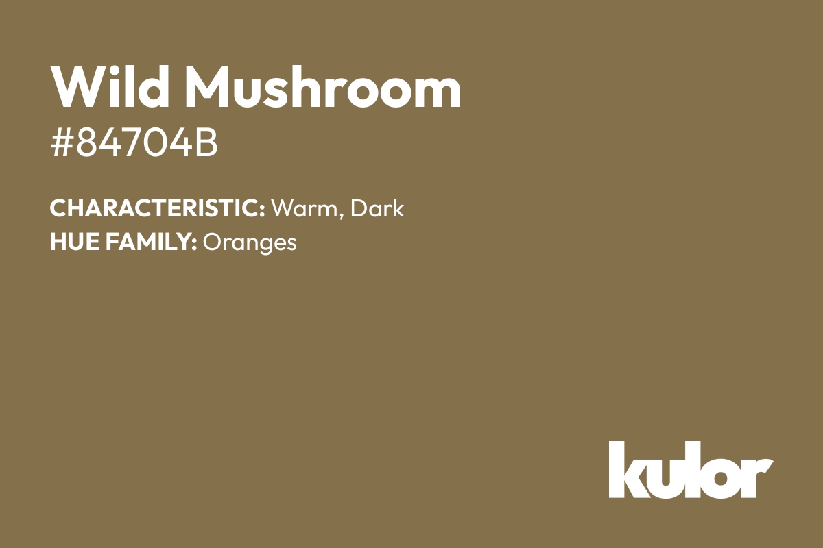 Wild Mushroom is a color with a HTML hex code of #84704b.