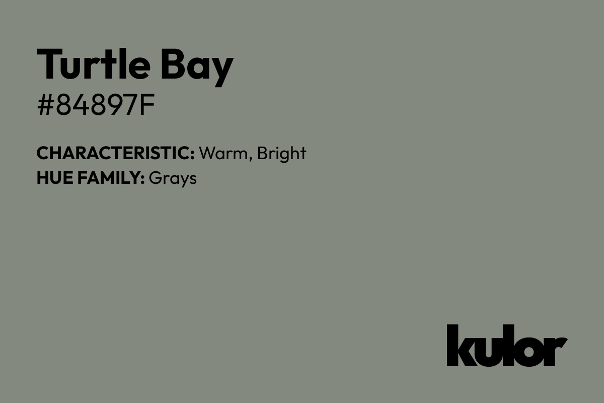 Turtle Bay is a color with a HTML hex code of #84897f.