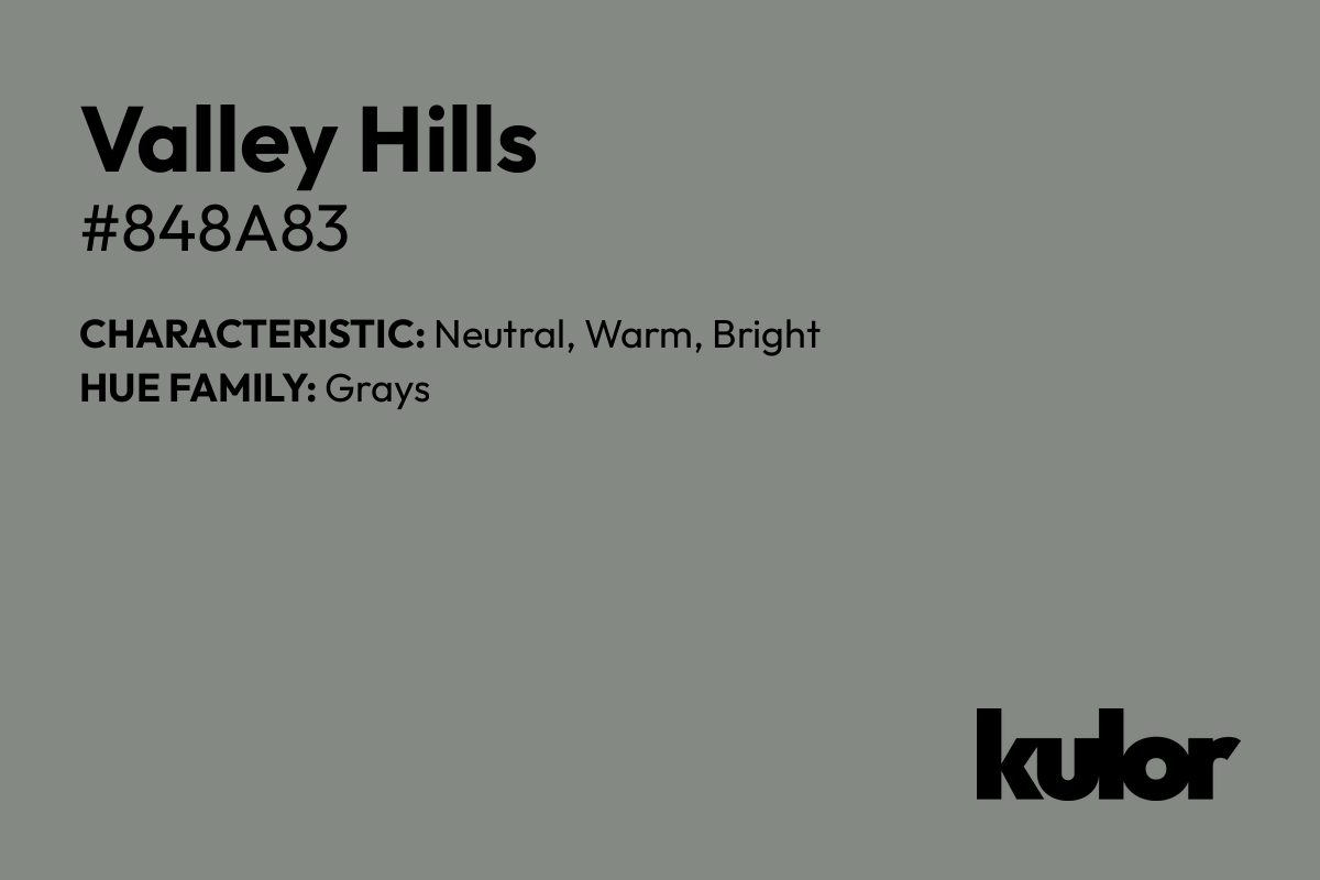 Valley Hills is a color with a HTML hex code of #848a83.