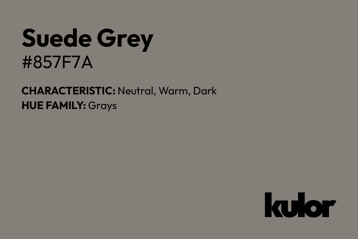 Suede Grey is a color with a HTML hex code of #857f7a.