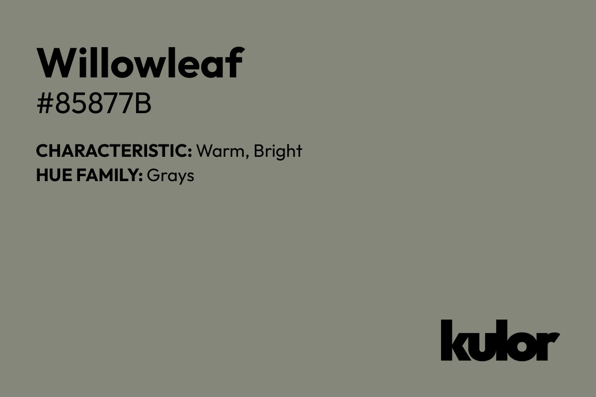 Willowleaf is a color with a HTML hex code of #85877b.