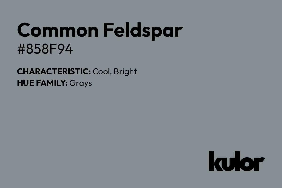 Common Feldspar is a color with a HTML hex code of #858f94.