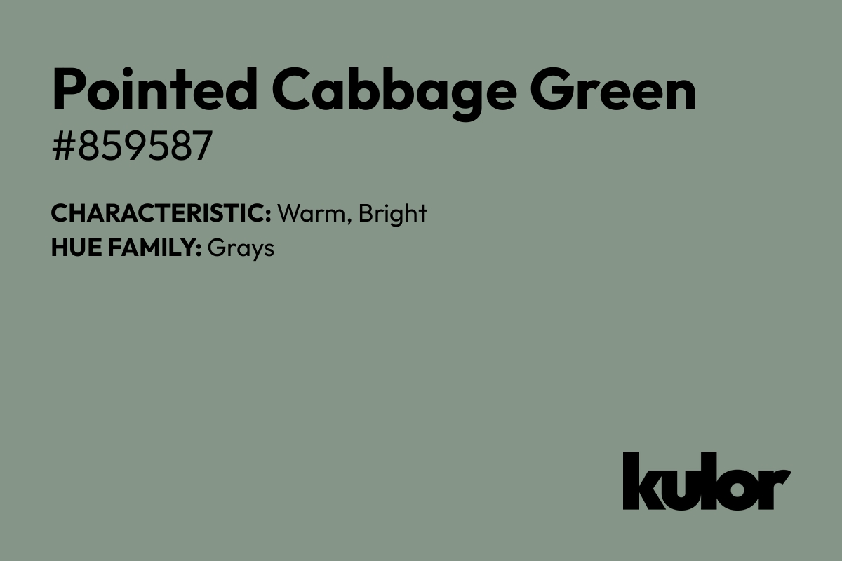 Pointed Cabbage Green is a color with a HTML hex code of #859587.