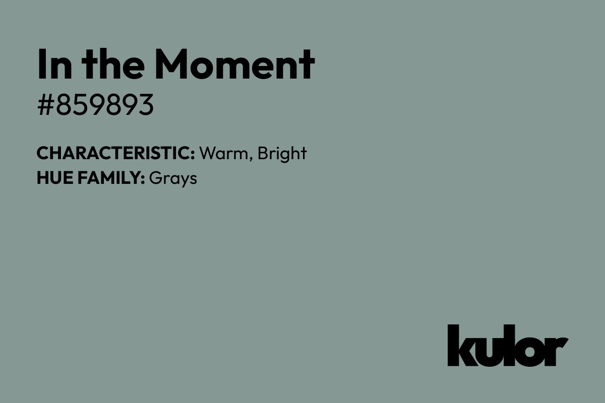 In the Moment is a color with a HTML hex code of #859893.