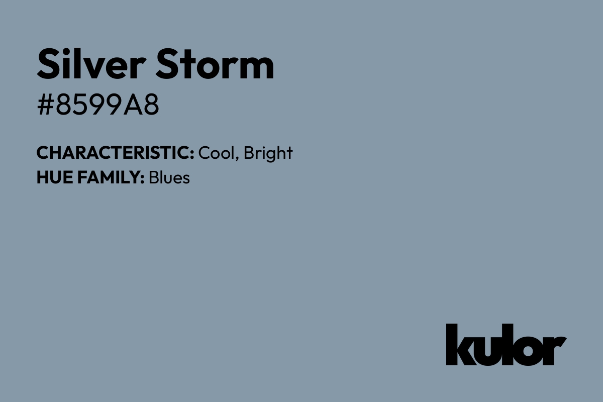 Silver Storm is a color with a HTML hex code of #8599a8.