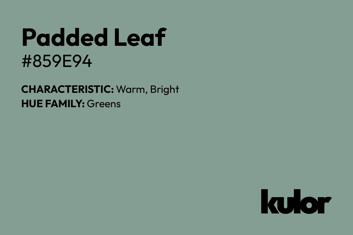 Padded Leaf is a color with a HTML hex code of #859e94.