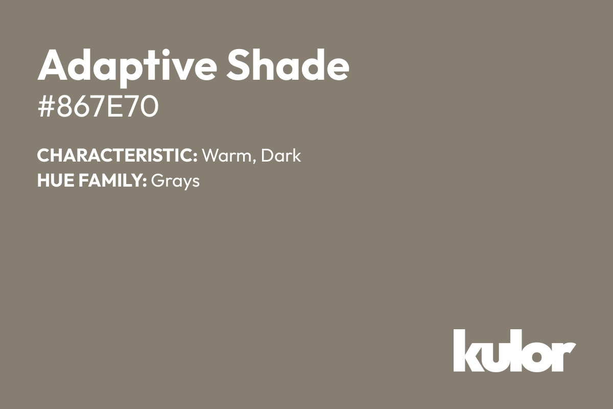 Adaptive Shade is a color with a HTML hex code of #867e70.