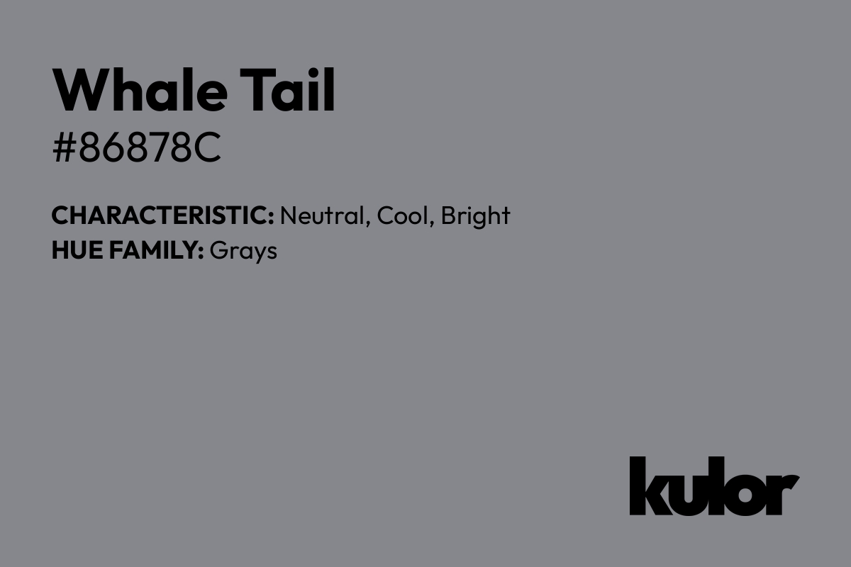 Whale Tail is a color with a HTML hex code of #86878c.