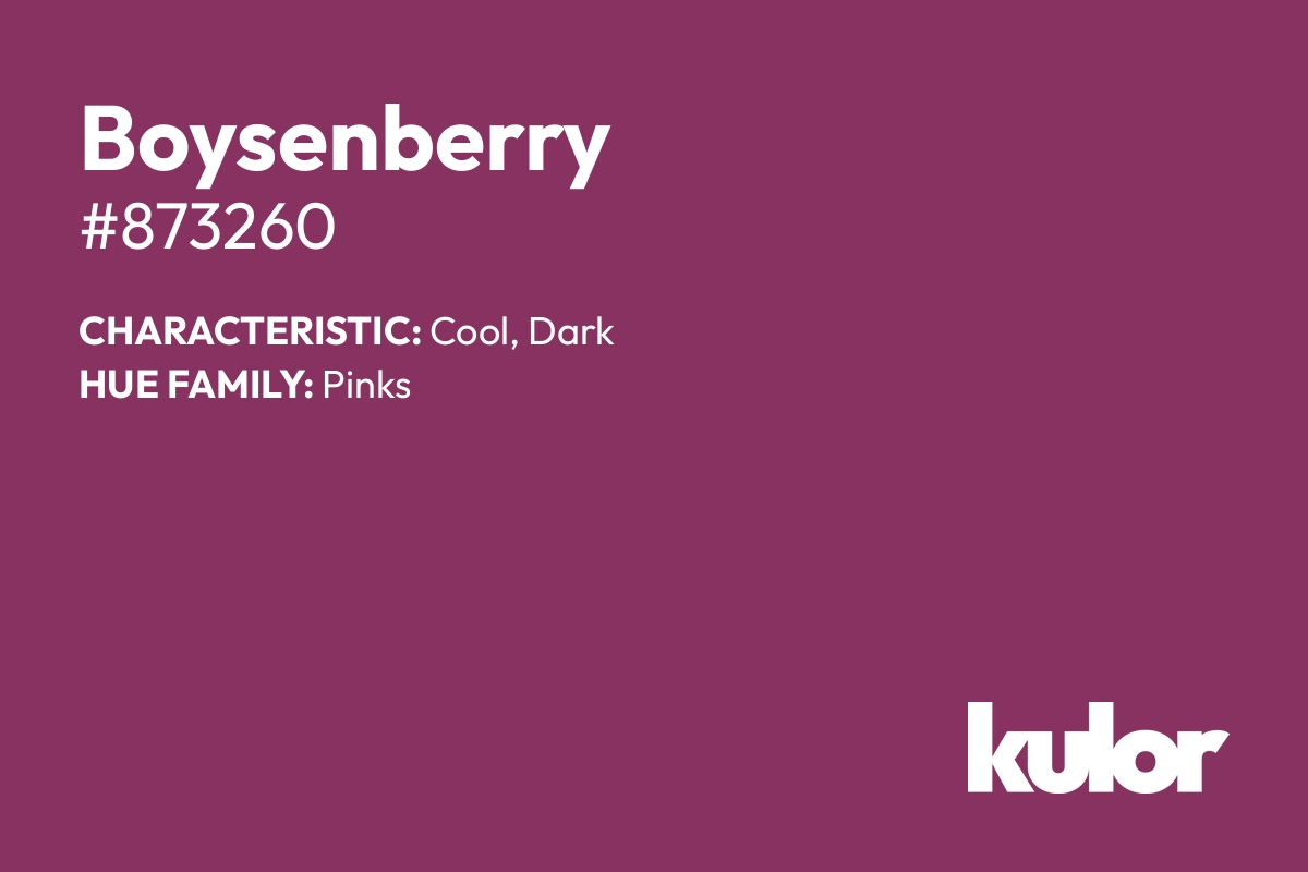 Boysenberry is a color with a HTML hex code of #873260.