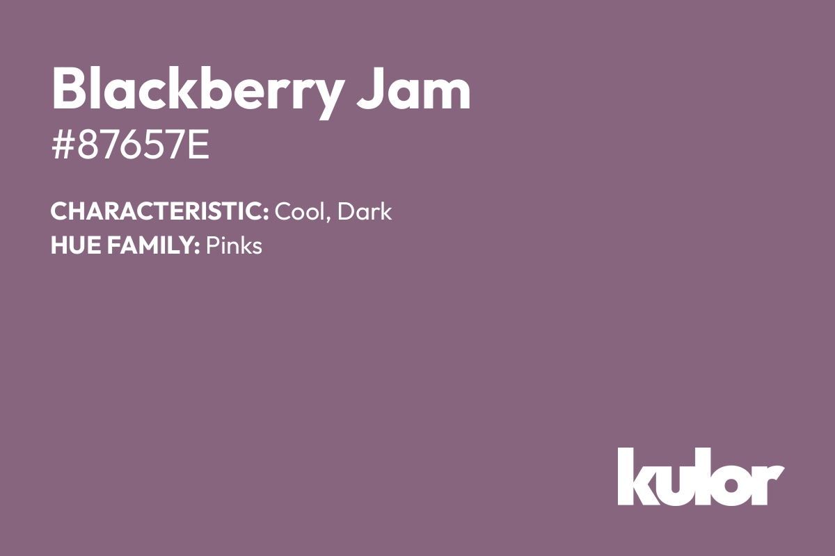 Blackberry Jam is a color with a HTML hex code of #87657e.