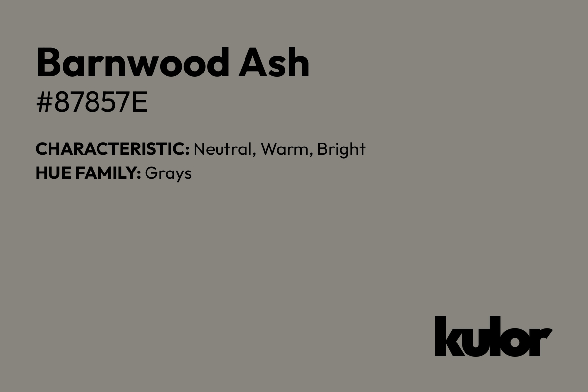 Barnwood Ash is a color with a HTML hex code of #87857e.