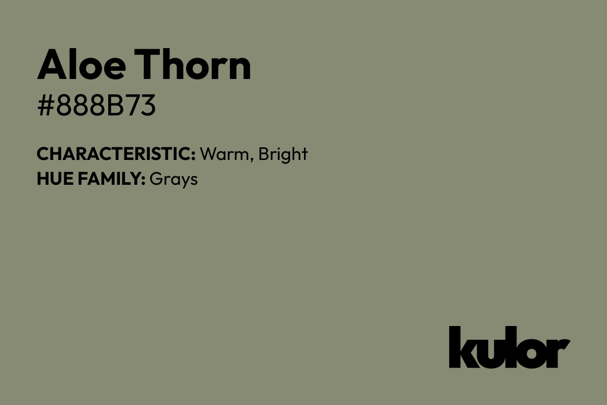 Aloe Thorn is a color with a HTML hex code of #888b73.