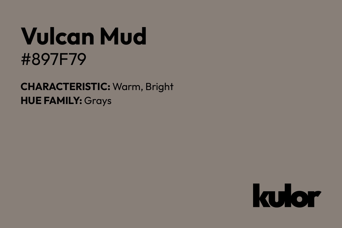 Vulcan Mud is a color with a HTML hex code of #897f79.