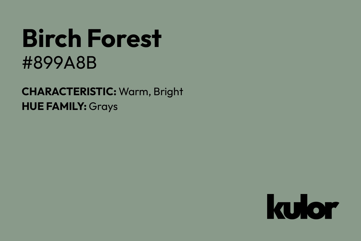 Birch Forest is a color with a HTML hex code of #899a8b.