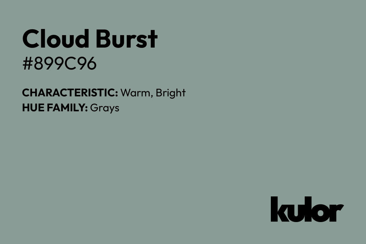 Cloud Burst is a color with a HTML hex code of #899c96.