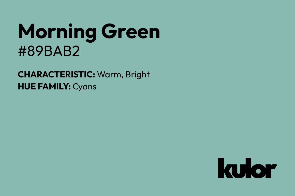 Morning Green is a color with a HTML hex code of #89bab2.