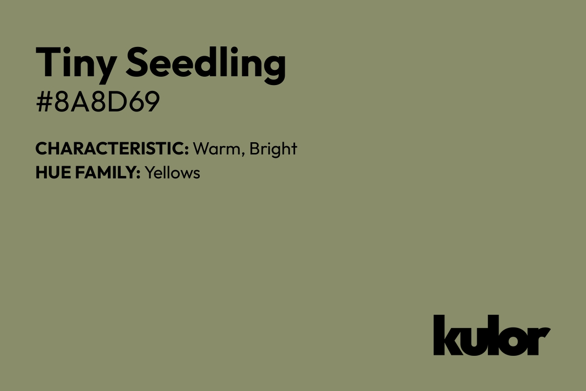 Tiny Seedling is a color with a HTML hex code of #8a8d69.