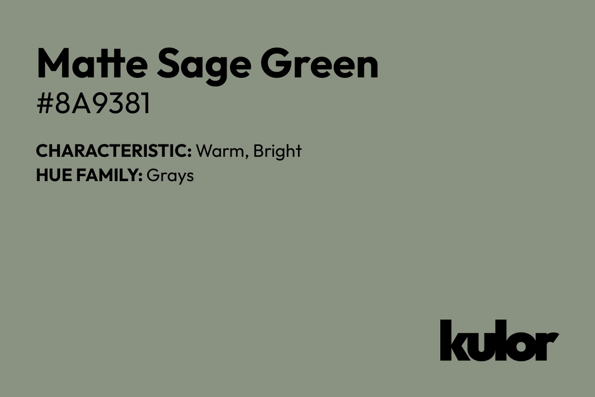 Matte Sage Green is a color with a HTML hex code of #8a9381.