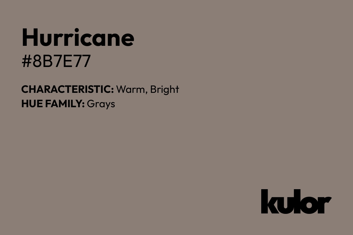 Hurricane is a color with a HTML hex code of #8b7e77.