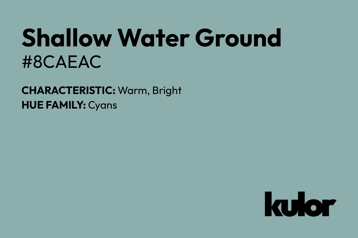 Shallow Water Ground is a color with a HTML hex code of #8caeac.