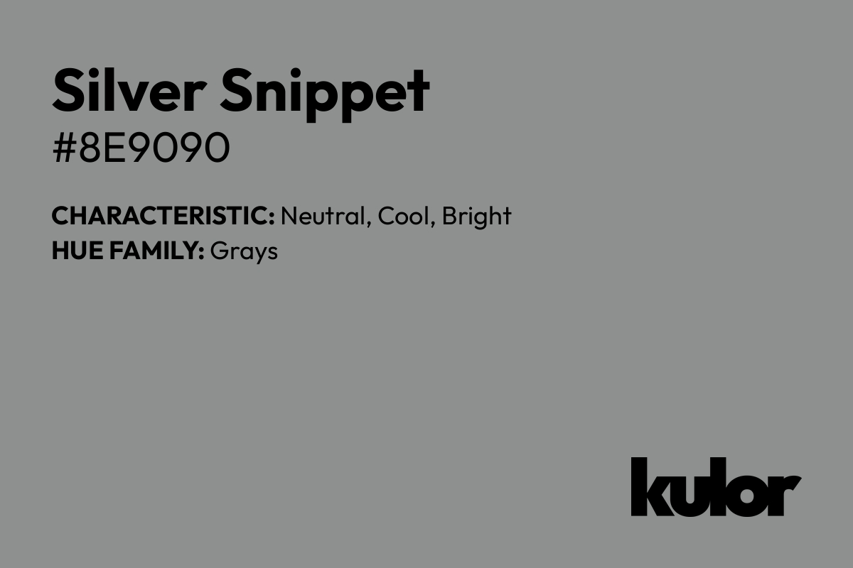 Silver Snippet is a color with a HTML hex code of #8e9090.